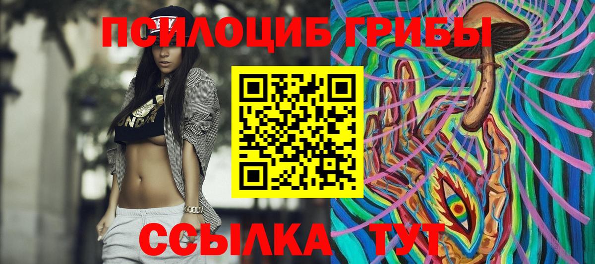Пугачёв  наркота  Вход с VPN  Псилоцибиновые грибы GOLDEN TEACHER 