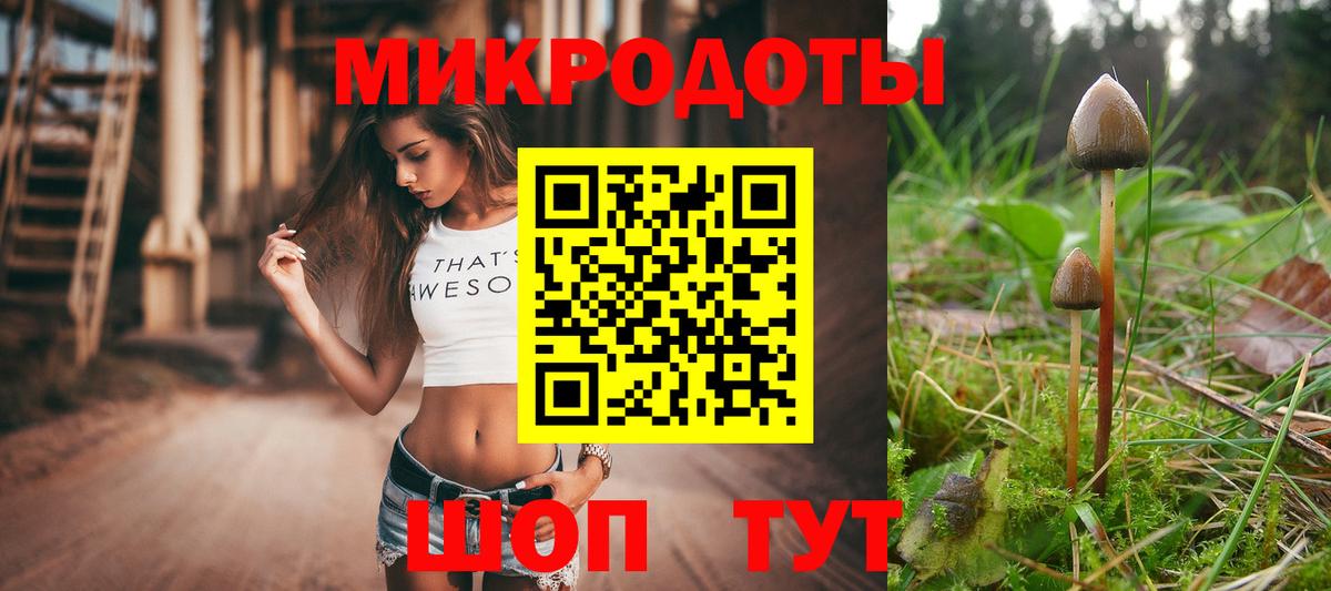 Галлюциногенные грибы мухоморы Пугачёв